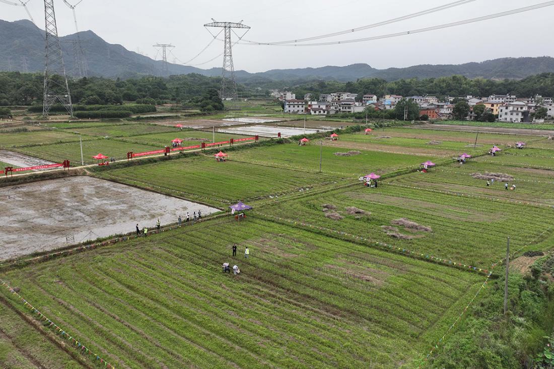 湖北省第三次土壤普查野外實操培訓(xùn)考核